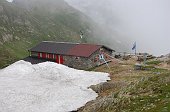 Salita al Rifugio Tagliaferri da Vilmaggiore per la Valle del Tino e il monte Tornone e Tornello il 10 luglio 2009 - FOTOGALLERY